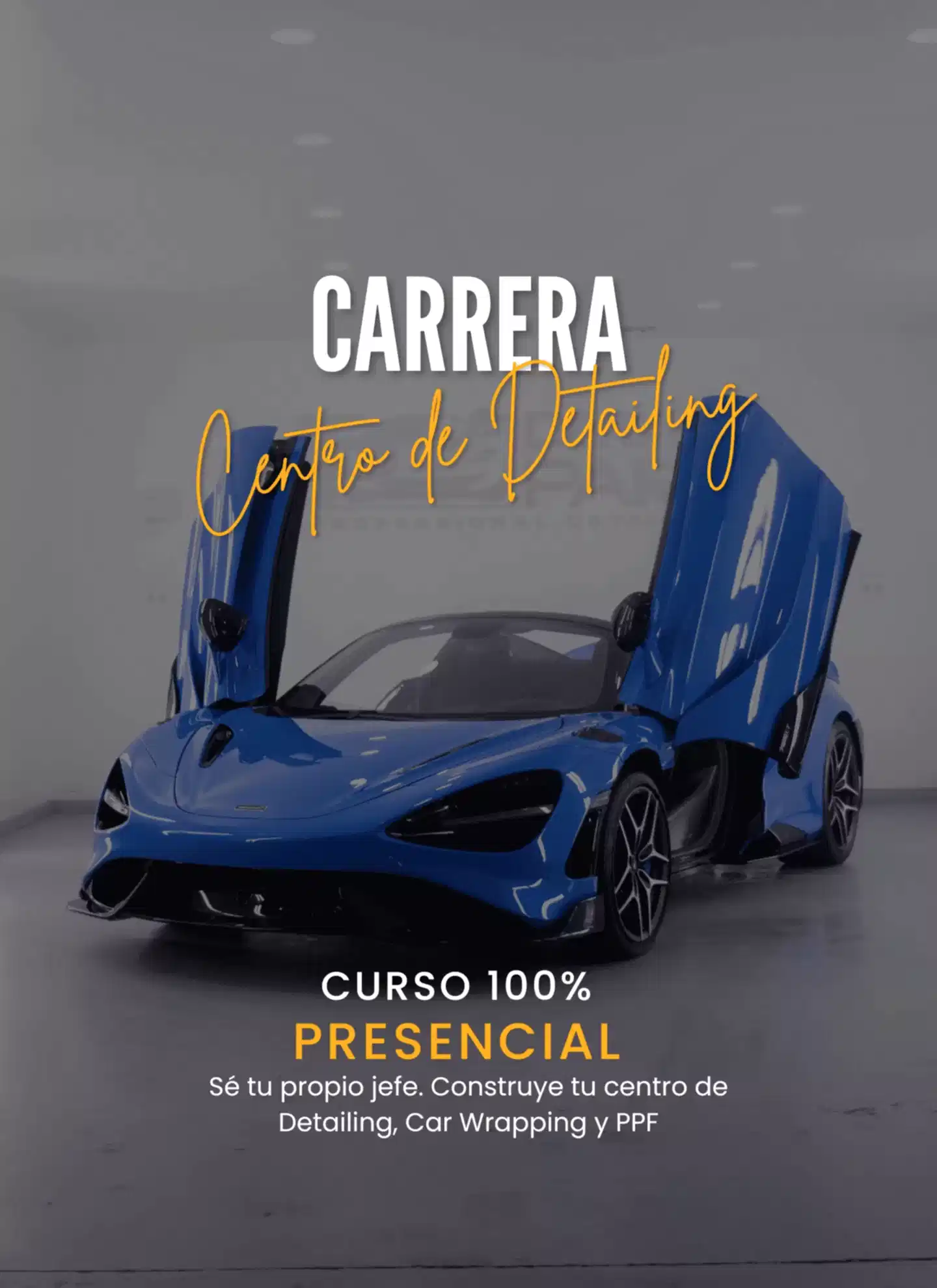 car wrapping%&paint protection film%