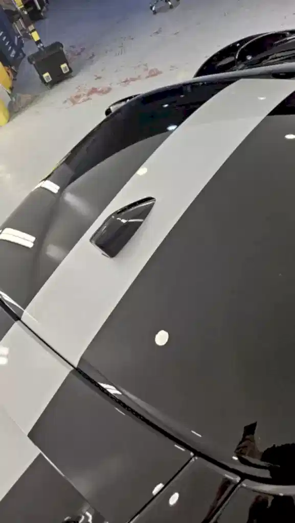 car wrapping%&paint protection film%